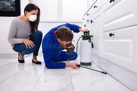 Best Pest Exclusion Services  in China Lake Acres, CA